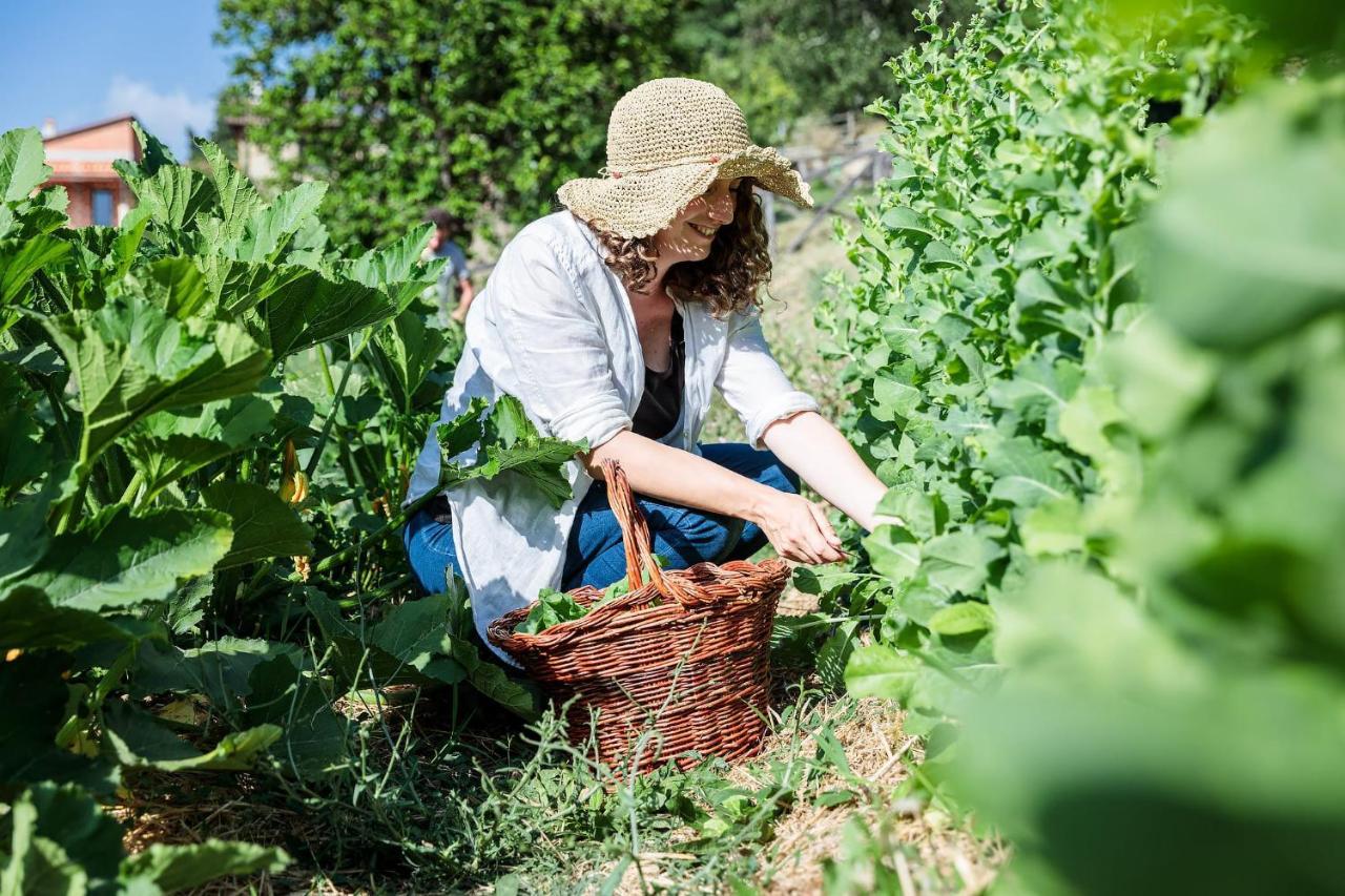 Farm stay La Fontaccia